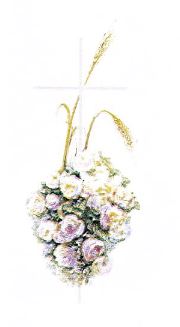 Symbole